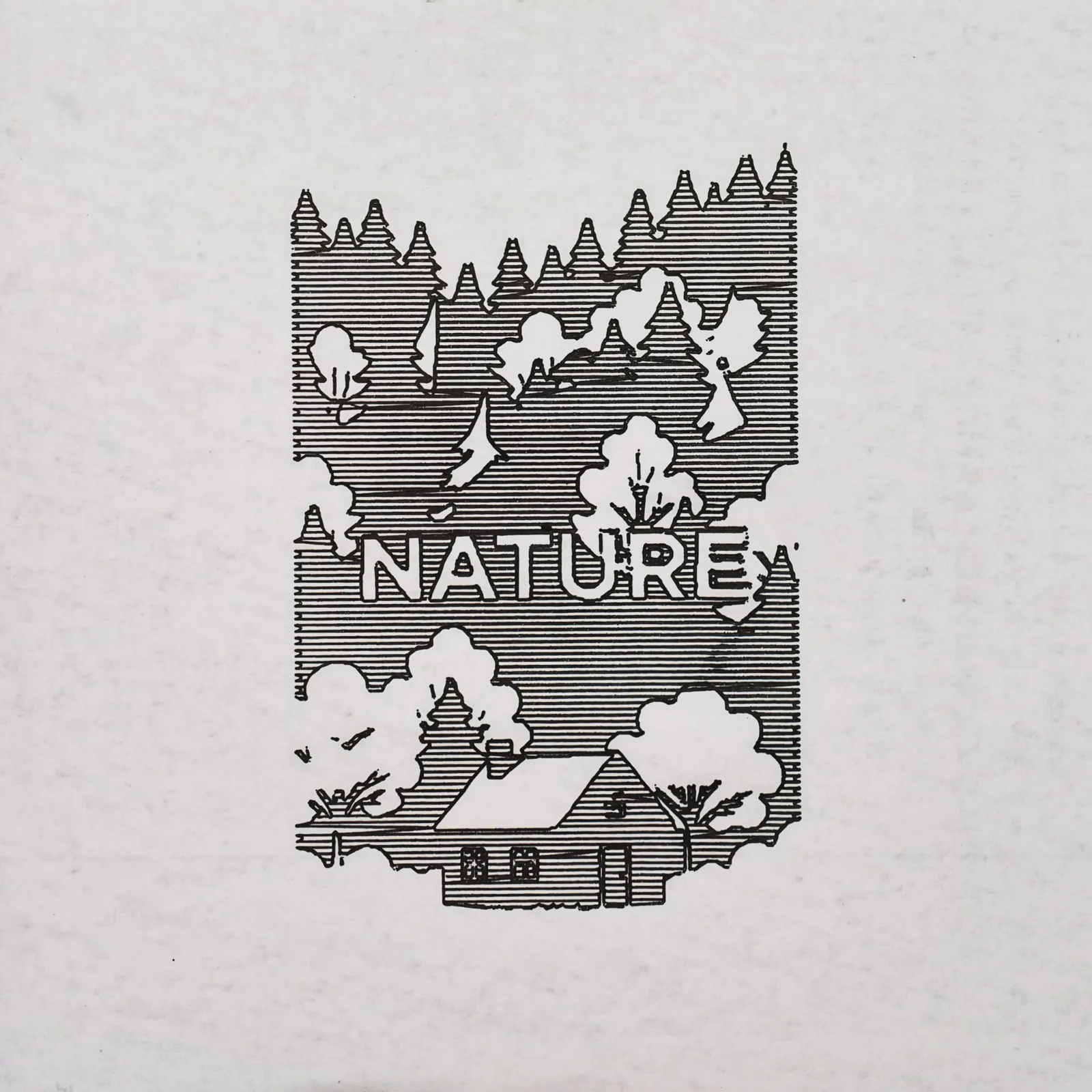 Nature forest house validation run physical plot output